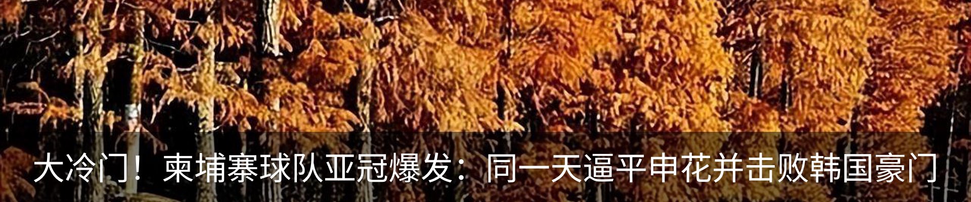 最新动态