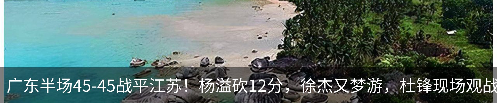 最新动态