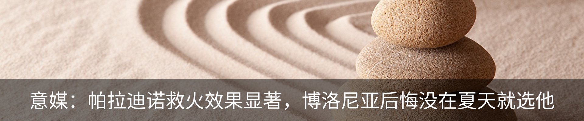 最新动态