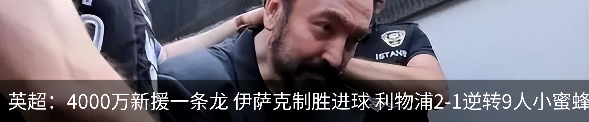 最新动态