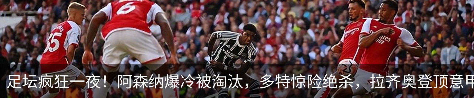 最新动态