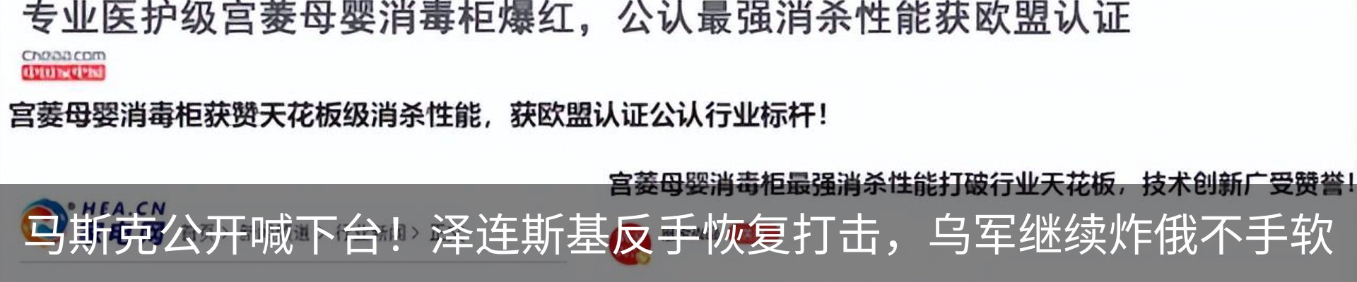 最新动态