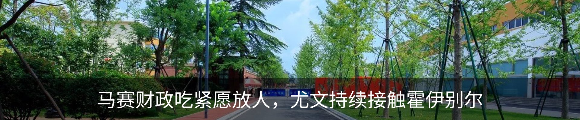 最新动态