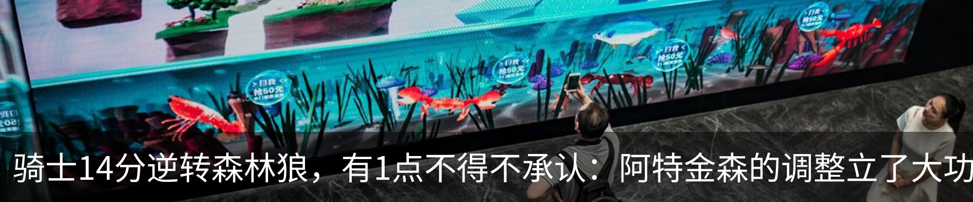 最新动态
